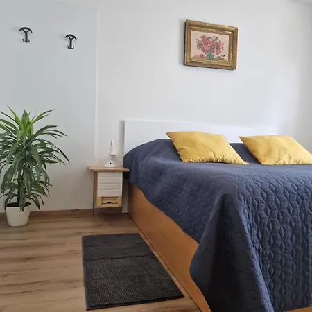 Medeni Apartma Pivka Exterior photo