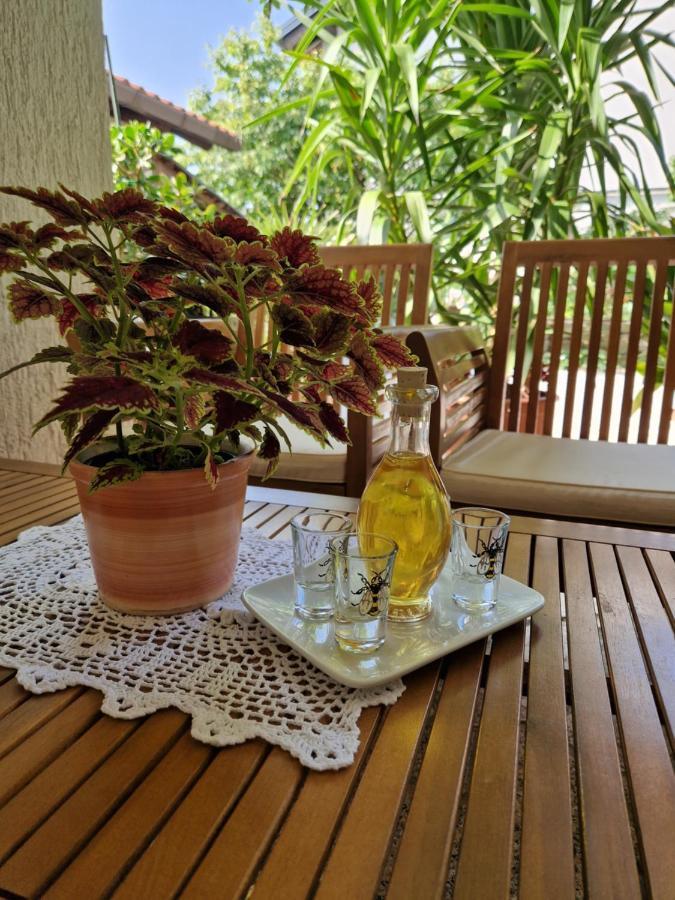 Appartement Medeni Apartma Pivka