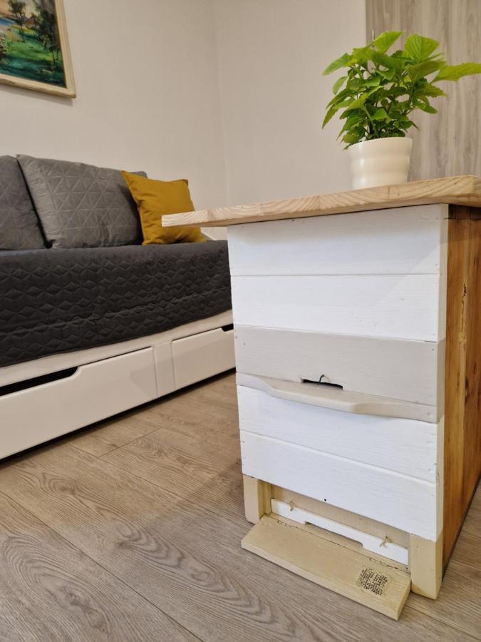 Apartment Medeni Apartma Pivka